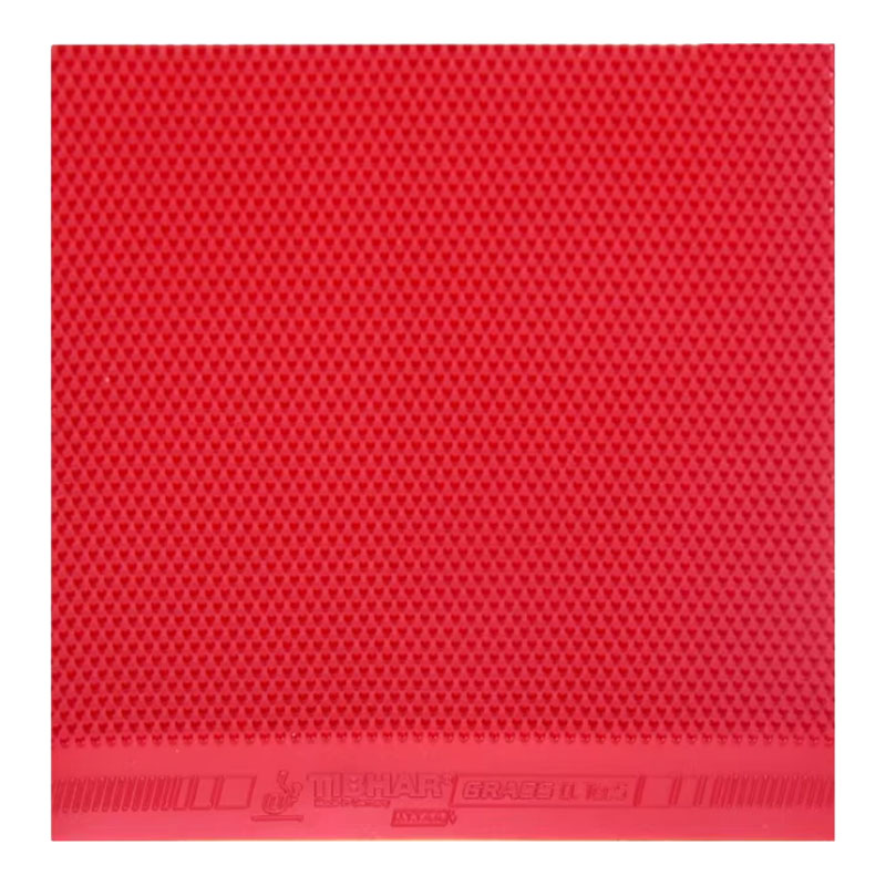 TIBHAR Grass D.TecS Table Tenn - Table Tennis For Sale review and price