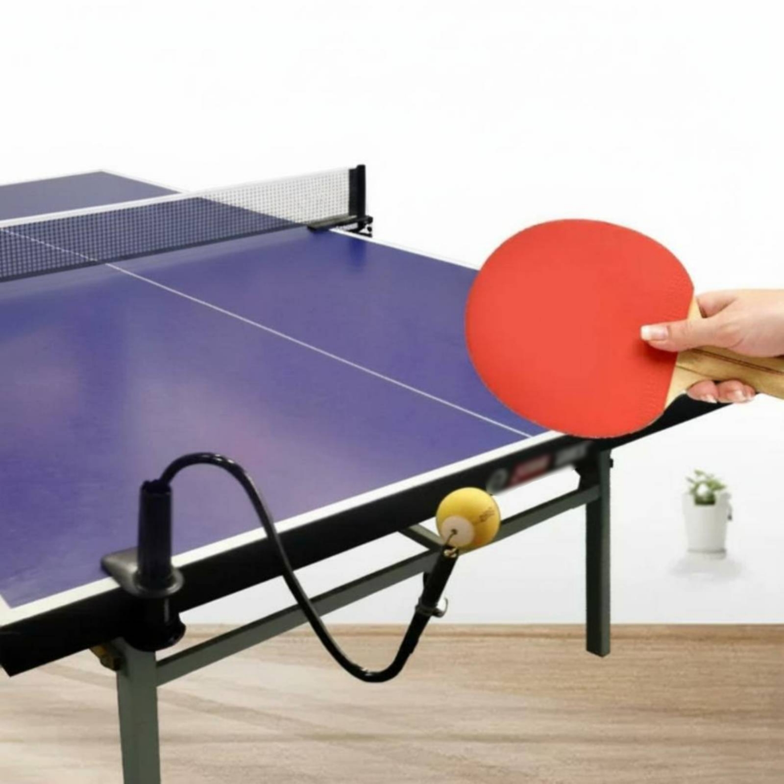 Table Tennis Solo Practice Aid - Table Tennis Youtube review and price