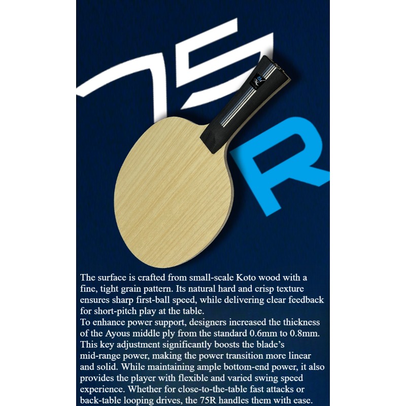 SANWEI 75R 5+2 Outer H-GLC Tab - Table Tennis Paddle review and price