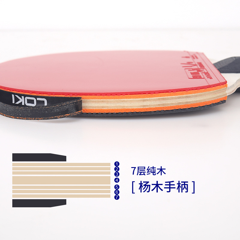LOKI K1000 Professional Table  - Table Tennis Youtube review and price